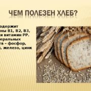 Полезен ли хлеб
